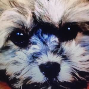 Meet your Posher, Kathy